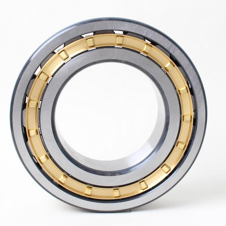 Single row cylindrical roller bearings